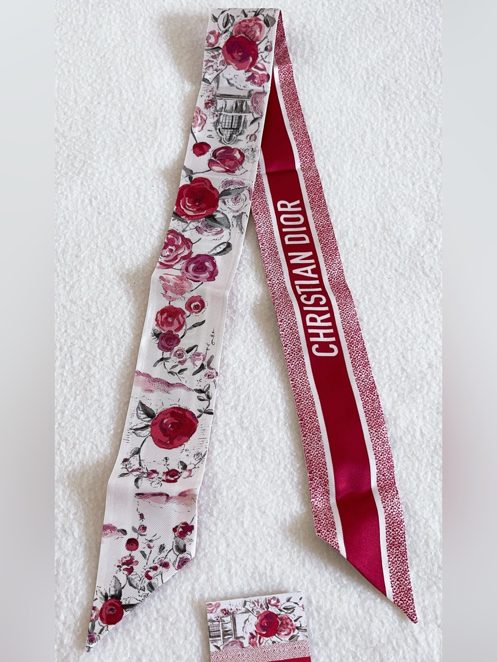 Dior Jardin D’hiver Mitzah Silk Scarf
